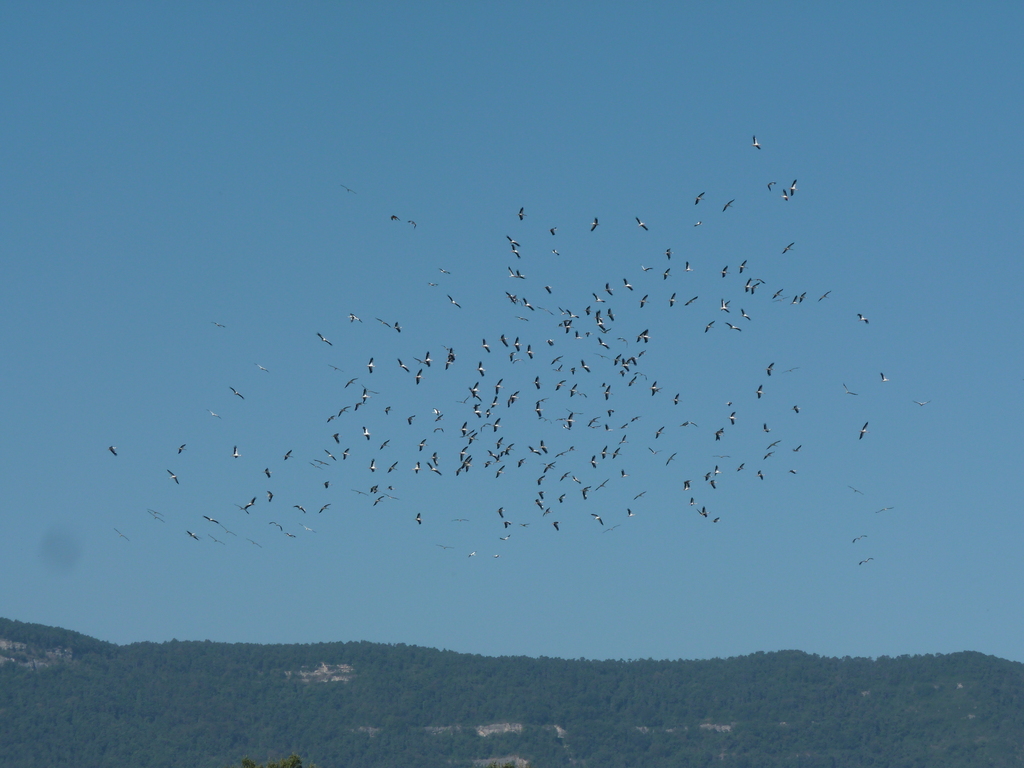 No s'ha trobat l'arxiu